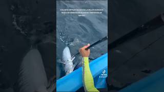 NO CREERÁN LA ENORME SORPRESA QUE NOS LLEVAMOS CON ESTA CAPTURA #pescando #fishing #fish #viral