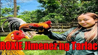 Lets Visit The Farm Of Roxie Jimenez Ng Tarlac