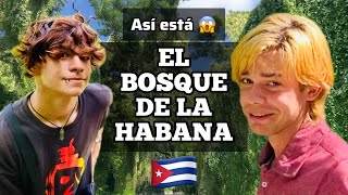 Así está el BOSQUE de LA HABANA actualmente 🌳. Parque Almendares Cuba 🇨🇺 con @kevin05hdez