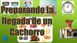 🐶Adaptando la llegada del cachorro a casa🐶| Streaming