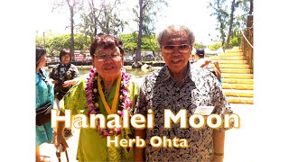 [BGM] Hanalei Moon / Herb Ohta