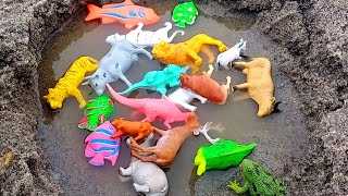 Sapi Lucu Kodok Gajah Lucu Harimau Dinosaurus Ikan hias Rusa Kudanil - Vlog Hewan Lucu Viral