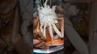 Crab from tsb crab boss