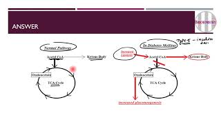 Case: Diabetes Mellitus