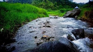 Mountain River Sounds | Flowing Stream Nature Ambience for Sleep & Study 8 Hours