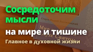 Сосредоточим мысли на мире и тишине. Глава семьи. Фаддей Витовницкий. Мир и радость в Духе Святом