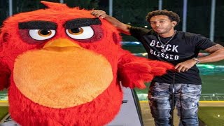 ludacris angry bird dot mp3