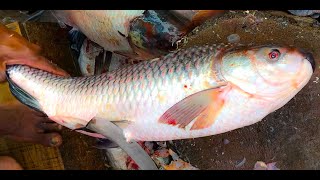 Big Rui Fish Scaling And Chopping By Fisherman At Fish Market