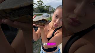 Turtle rescue mission! 🐢❤️ #ytshorts