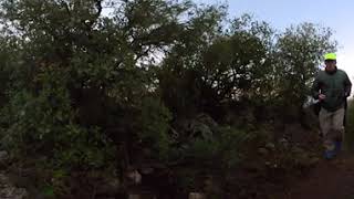 BIMT 360 Video: Israel - Upper Galilee Hill 713