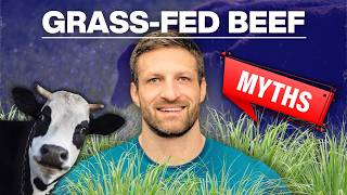 Primal Shift Podcast #52: Grass-Fed vs. Conventional Beef: Vitamin and Fatty Acid Comparison