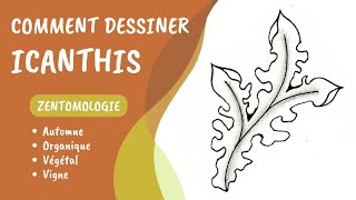 Comment dessiner le tangle Icanthis ?