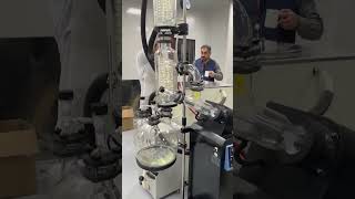 Rotary evaporators| The second distillation process for lavender essential oils