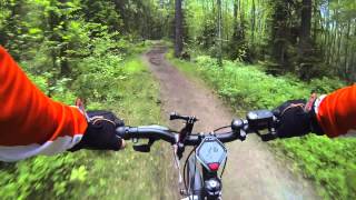 Forest Ride around Kista