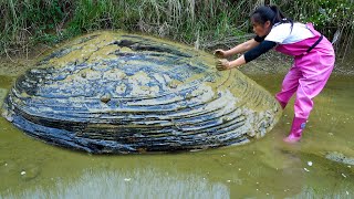 I noticed some movement under the mud, there used to be a large pearl clam