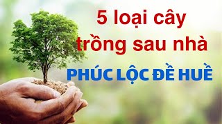 PHONG THỦY 24H | 5 LOẠI CÂY TRỒNG TRƯỚC NHÀ NGHÈO KHỔ, TRỒNG SAU NHÀ THÌ GIÀU CÓ