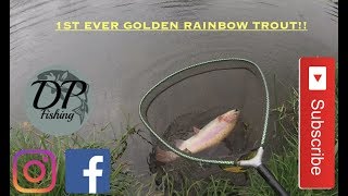 Fly fishing for trout - DPfishing