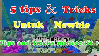 5 tips and tricks untuk para newbie atau pemula, tips and tricks Minecraft #2