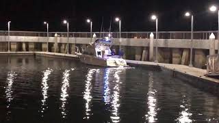 Fishing Aboard Reel Hard Rockfish, Dorado!