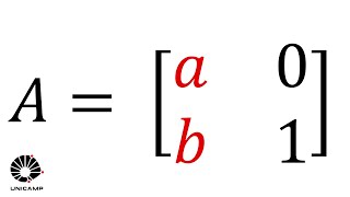 Considere a matriz A #unicamp