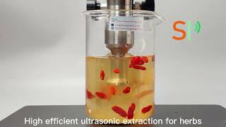 Ultrasonic Sonicator For Variuos Palnts Extraction