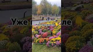 Новое видео уже на канале https://youtu.be/1jEcQ-Kj304?si=LaQnPKb5h1yjUHd- #влог #мотивациянауборку