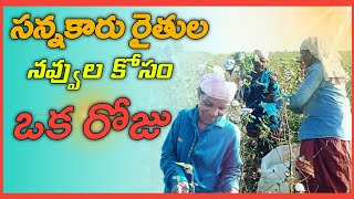 సన్నకారు రైతుల నవ్వుల కోసం ఒక రోజు, || MANA MM Telugu