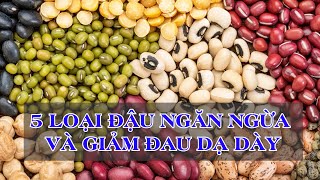 5 loại đậu giúp ngăn ngừa và giảm đau cho người mắc bệnh dạ dày | VTC News