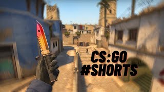 Fly Fly Fly #shorts #csgo