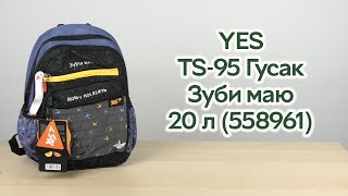 Розпаковка YES TS-95 Гусак Зуби маю 44х29х16 см 20 л (558961)