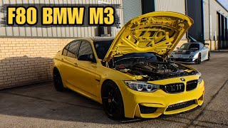 IS THIS THE RAREST COLOUR F80 BMW M3 🤔 **WORKSHOP UPDATES**