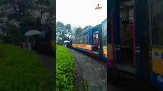 Toy Train Dargeeling #vlog #darjeeling #westbengal