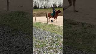 On progresse mon poney 💓