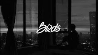 Imagine Dragons - BIRDS (lyrics)