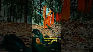 "മരണമില്ലാത്ത പാടി"