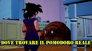 DOVE TROVARE IL POMODORO REALE - DRAGON BALL Z KAKAROT