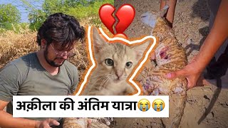 अक़ीला की अंतिम यात्रा😭😭💔💔#baawalechorevlogs #akila  #cowvlog #baawalechorecows #cat