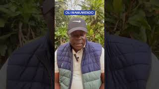 Oli wamuwendo - Sseviiri Manyiganjegere Omutabaazi Wensi