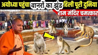 Ayodhya Ram Mandir वानरों का झुंड पहुंच अयोध्या, सभी वानर पहुंचे श्री राम का स्वागत करने/Miracle