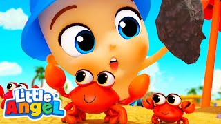 What's Under the Rock? | Beach Playtime | Baby John’s Playtime Songs & Nursery Rhymes @littleangel