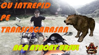 Motovlog Samurai POVESTI CU URSI/DESPRE SEZONUL 2019 {part2}