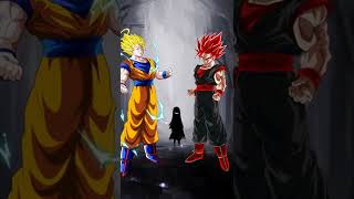 Goku Vs Evil Goku || Who is strongest