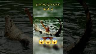 تجاوز سه برادر به تمساح 😱😱😱