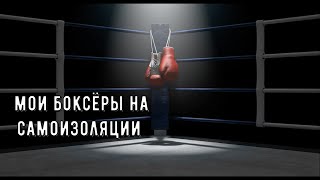 Тренировки боксёров на карантине.