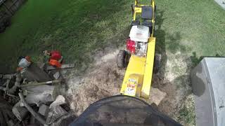 Stump grinding I Stump removal w / chainsaw and pickaxe on fence I lots of rocks I Houston , Texas