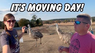 They Are Moving Out! Can We Get This Done Or Will It Be Too Much For Us?