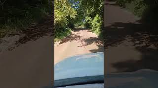 Driving on the Dirt Road Pt.1 #commercialvehicles #trucking #truck #dirtroads d