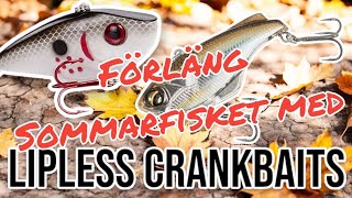 SÅ fiskar jag ABBORRE runt GRÄS med LIPLESS CRANKBAITS!