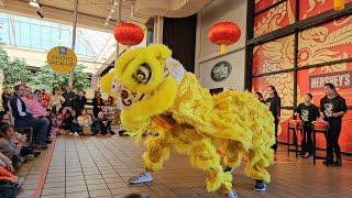 Lunar New Year Celebration at Hershey Chocolate World ft. Little Star Chinese Language School - 2/04