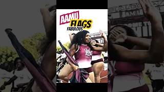 #AAMU 2024 Fabulous Flags Marching In